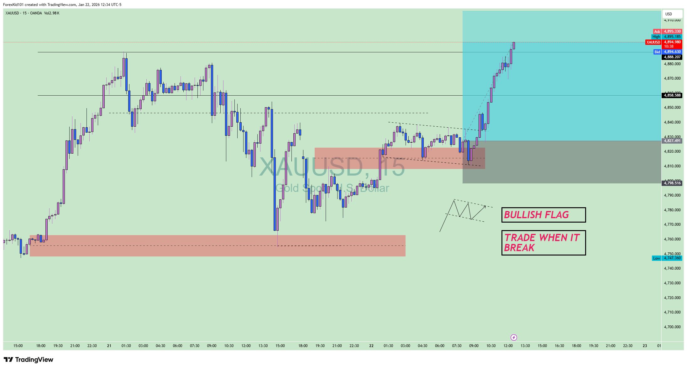 XAUUSD Bullish Flag